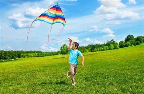  Kite Flying: How To Catch The Winds Of Change In Your Career - A Malaysian Masterpiece Unveiling Hidden Career Trajectories